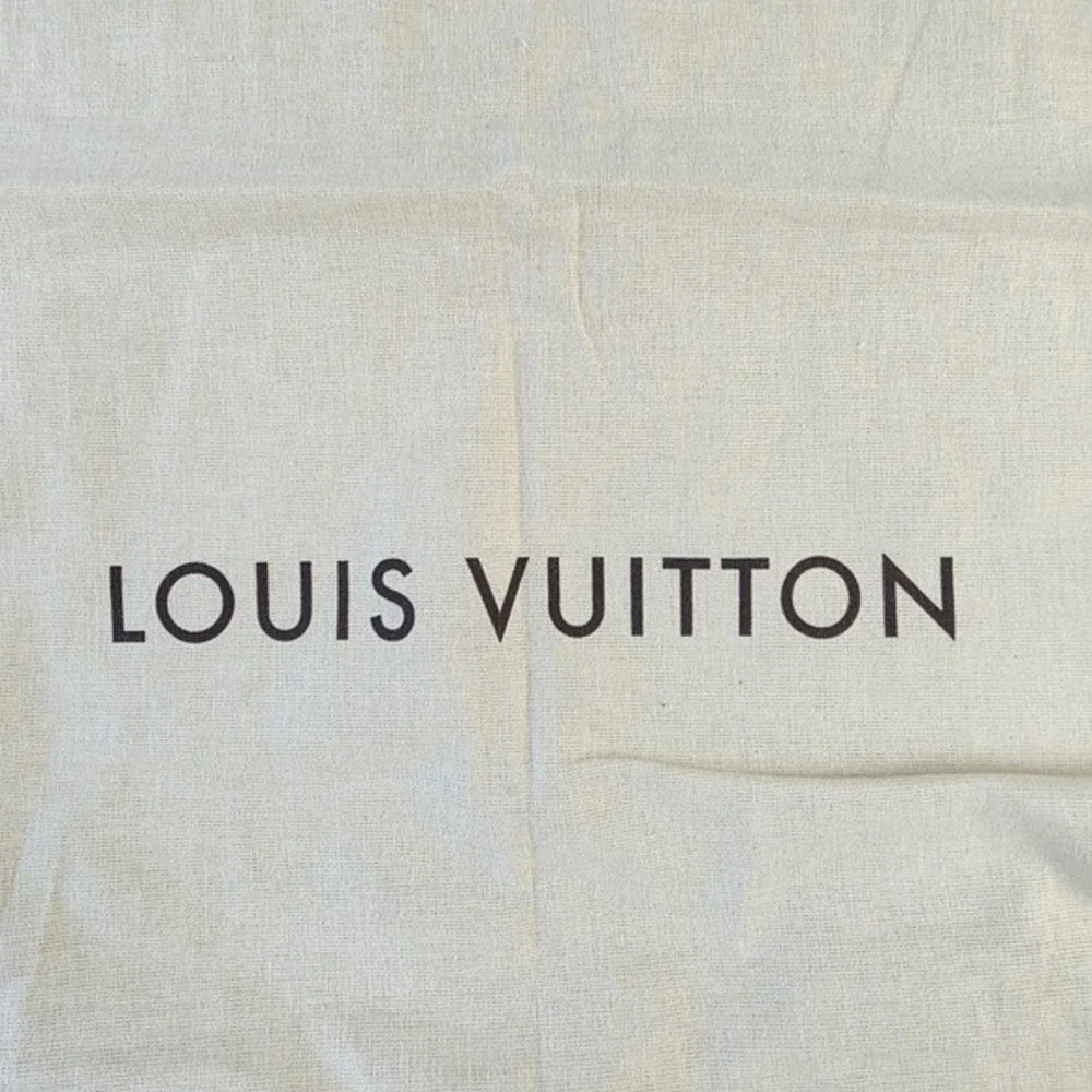 Louis Vuitton preowned louis